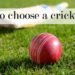 how-to-choose-a-cricket-ball