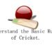 understand-the-basic-rules-of-cricket