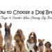 how-to-choose-a-dog-breed