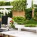 Top-10-Best-Plants-For-Your-Desk-At-Work